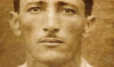 Biografia João Veríssimo do Amaral